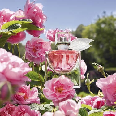 La vie est belle Domaine de La Rose Extrait de Parfum