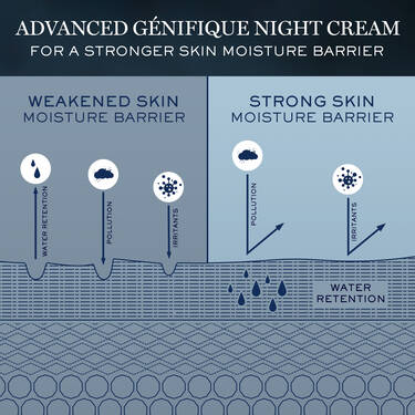 Advanced Genifique Night Cream